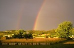 „DAS WORT STEHT IN DER WIESE“